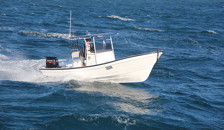 蓮亞fiberglass釣魚船panga boat